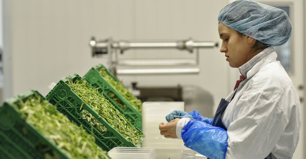 Nermina Lukac som Rasa, der arbejder på salatfabrikken